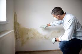 Best Air Quality Testing for Mold Spores  in Casey, IL